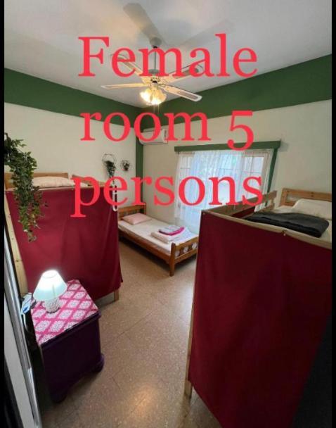 לרנקה Noer Hostel מראה חיצוני תמונה